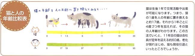 猫と人の年齢比較表